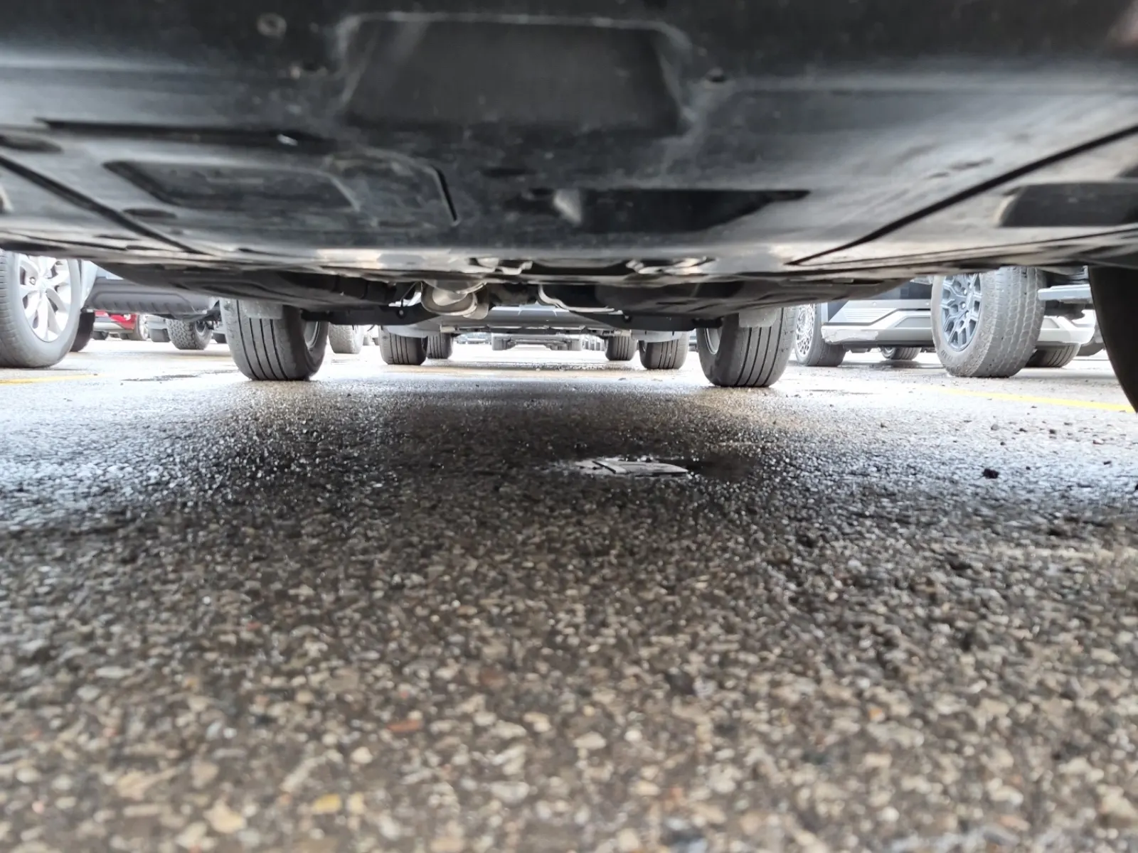 Undercarriage - Front Photo