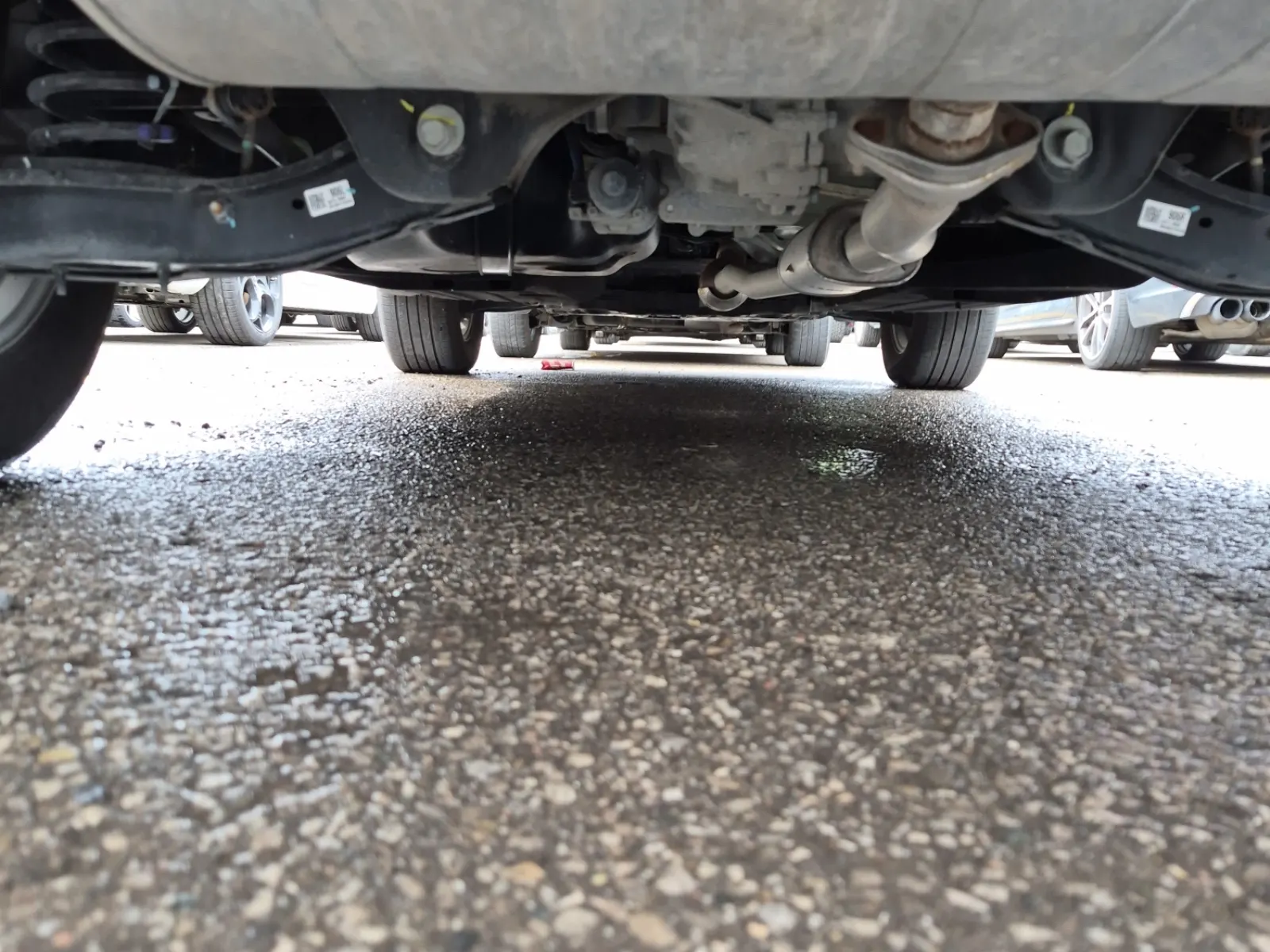 Undercarriage - Rear Photo