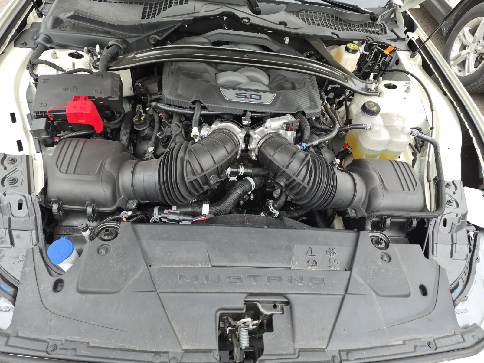 Engine Photo