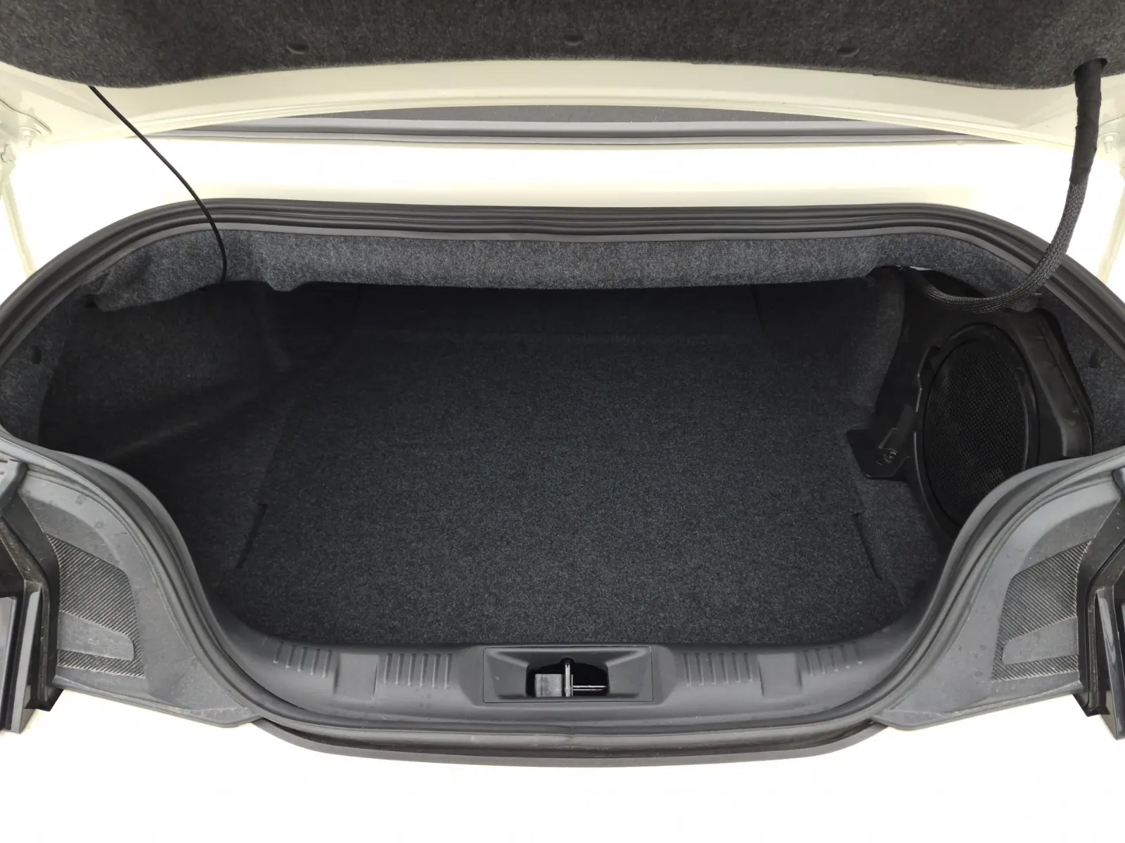 Cargo Area Photo