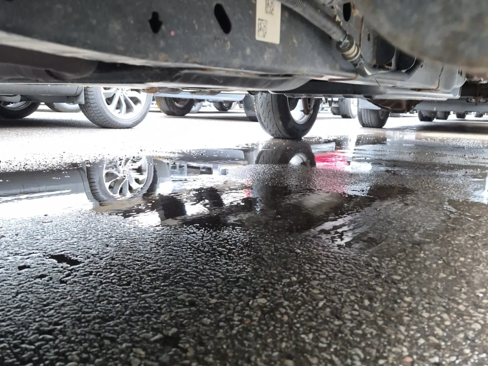 Undercarriage - Driver Photo
