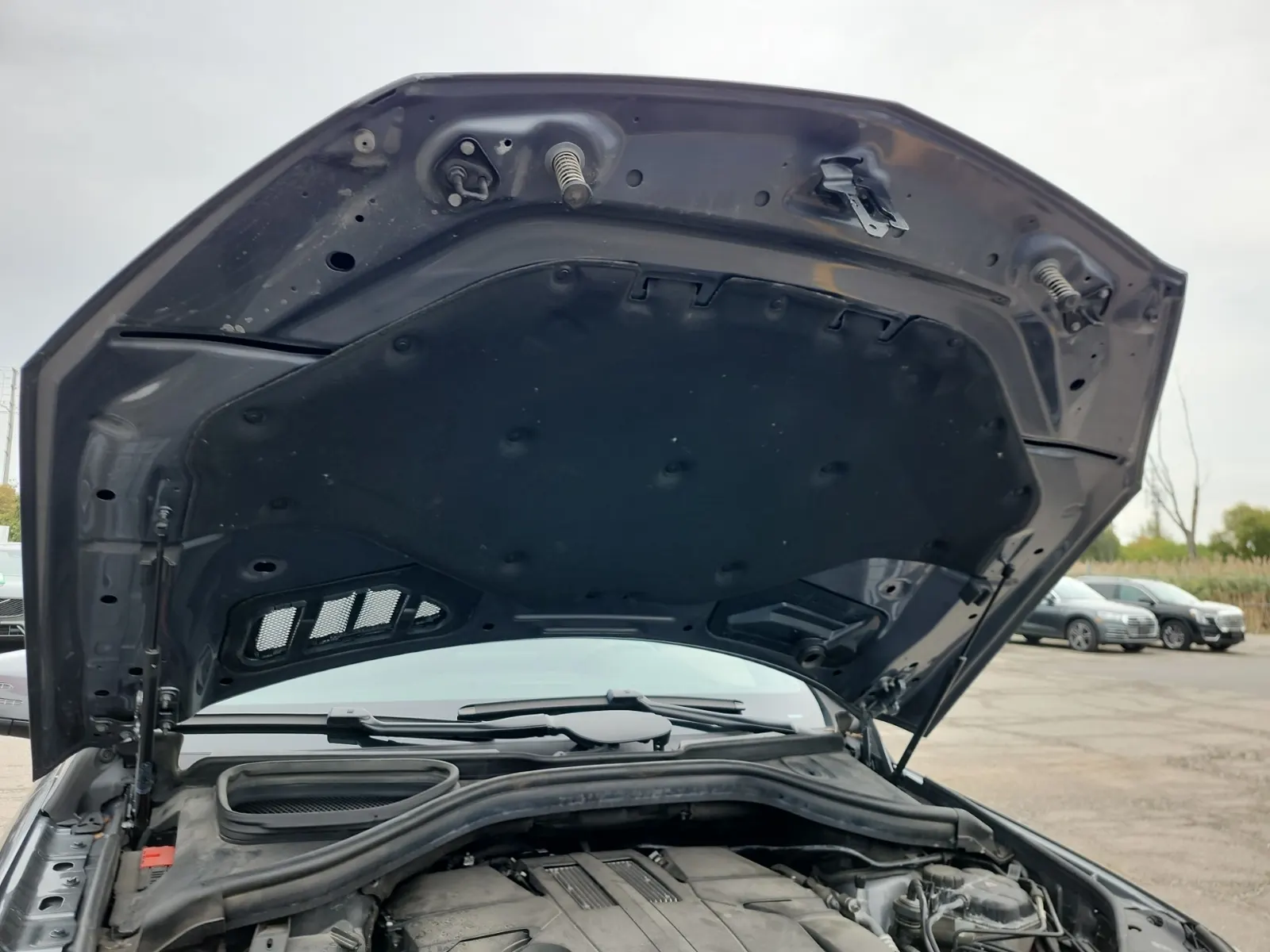 Emission Sticker Photo