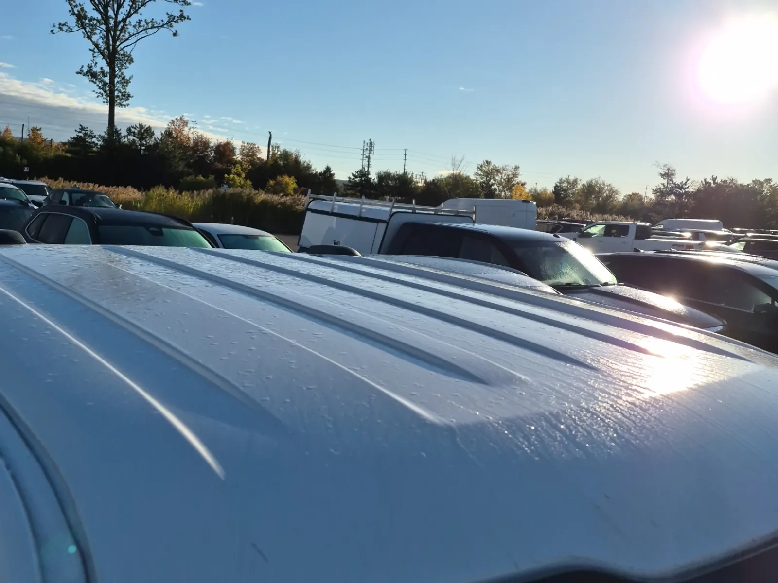 Exterior Roof Photo