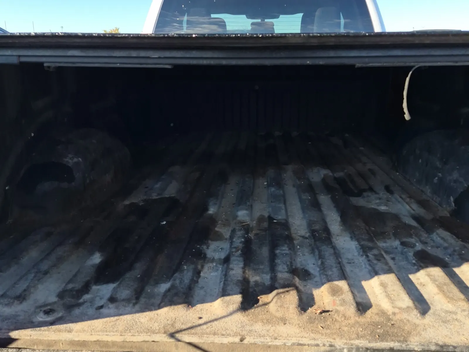 Cargo Area Photo
