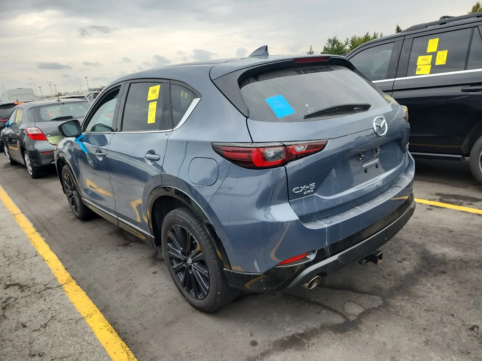 Driver Rear 3/4 Photo