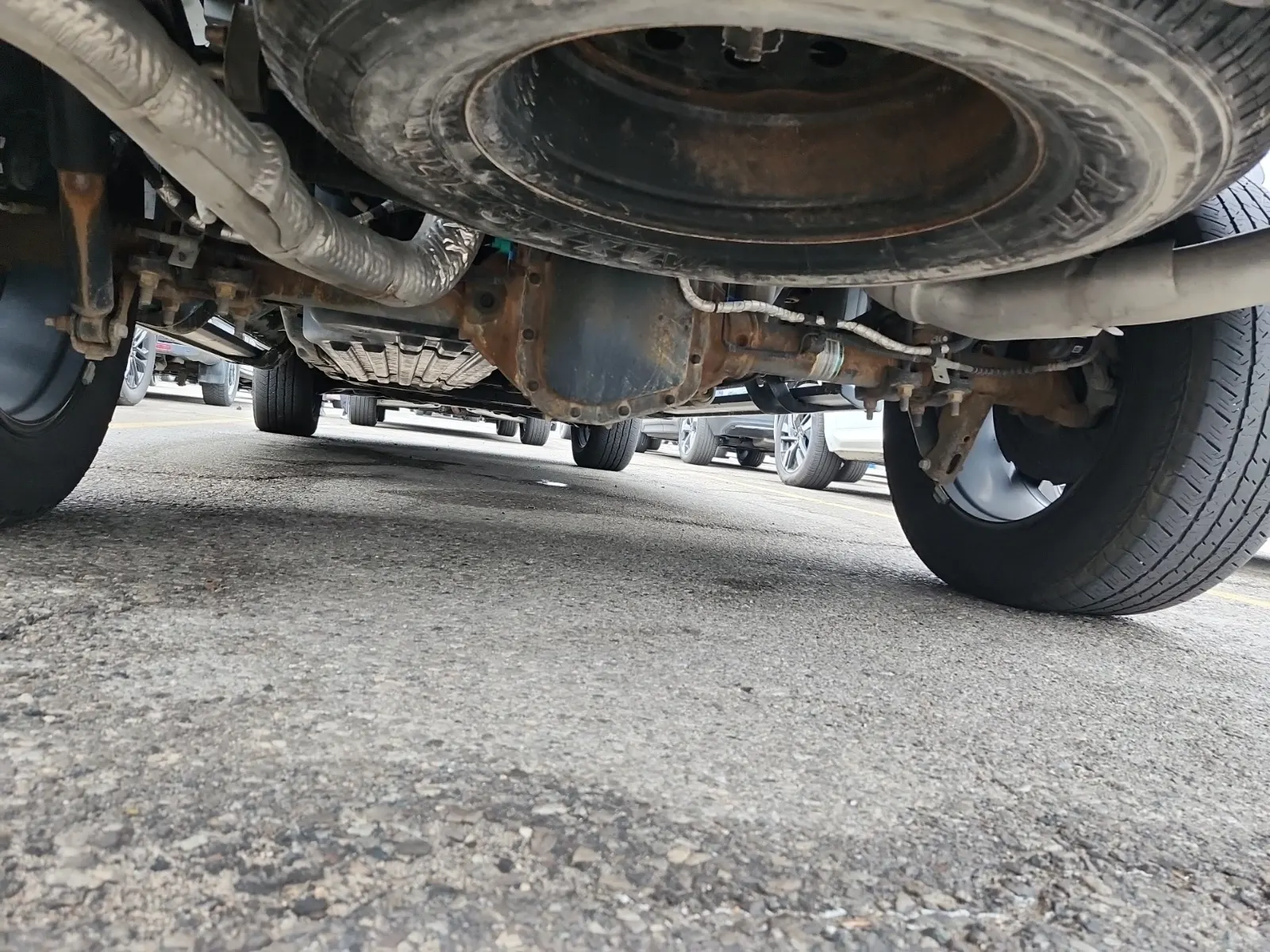 Undercarriage - Rear Photo