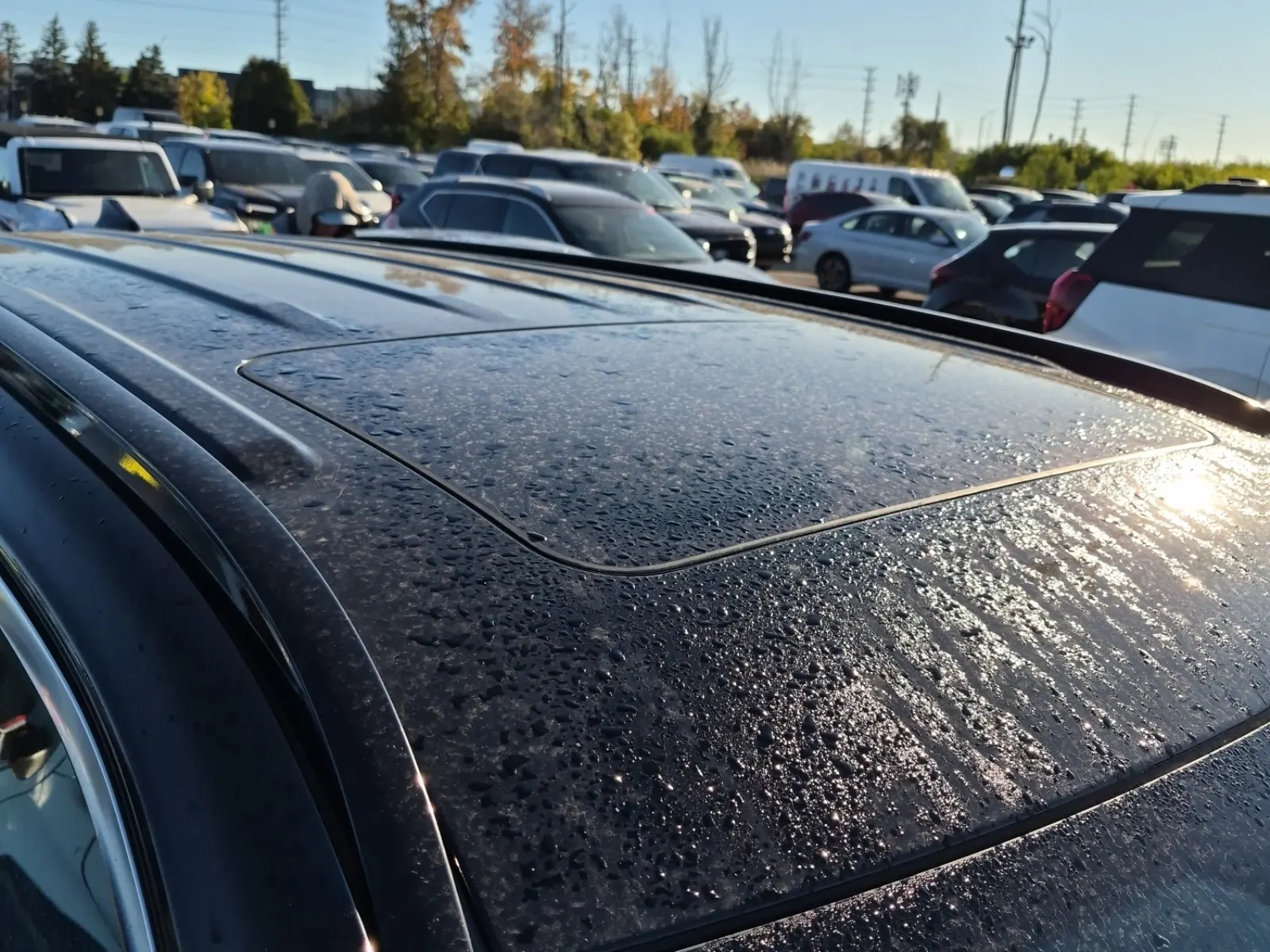 Exterior Roof Photo