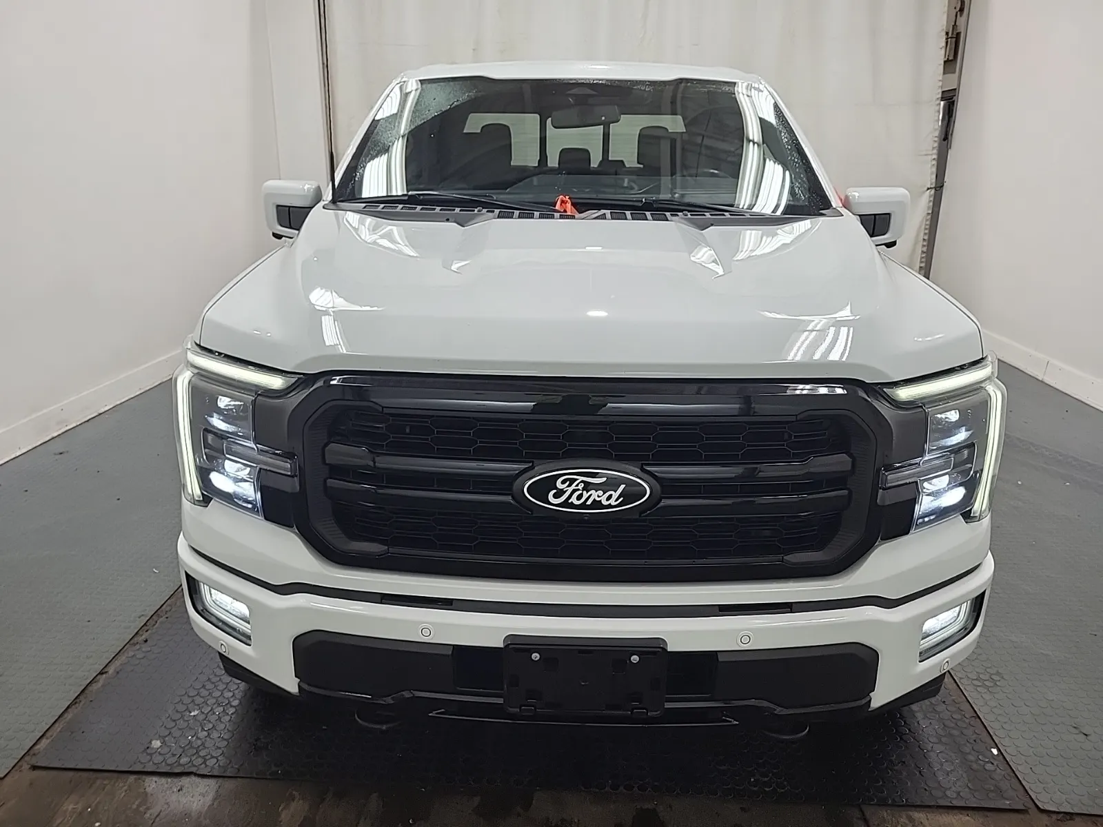 Full Front Photo