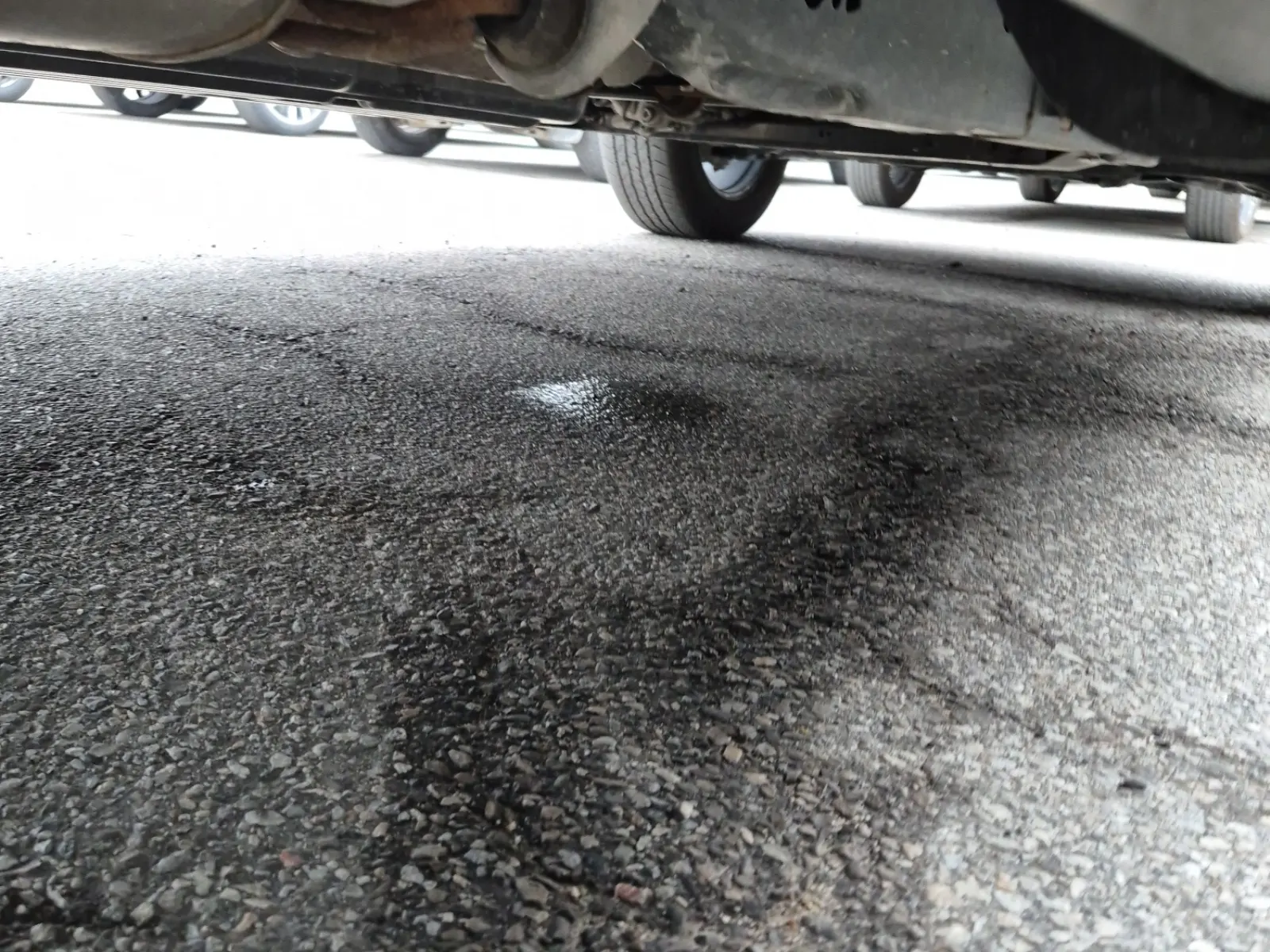 Undercarriage - Passenger Photo