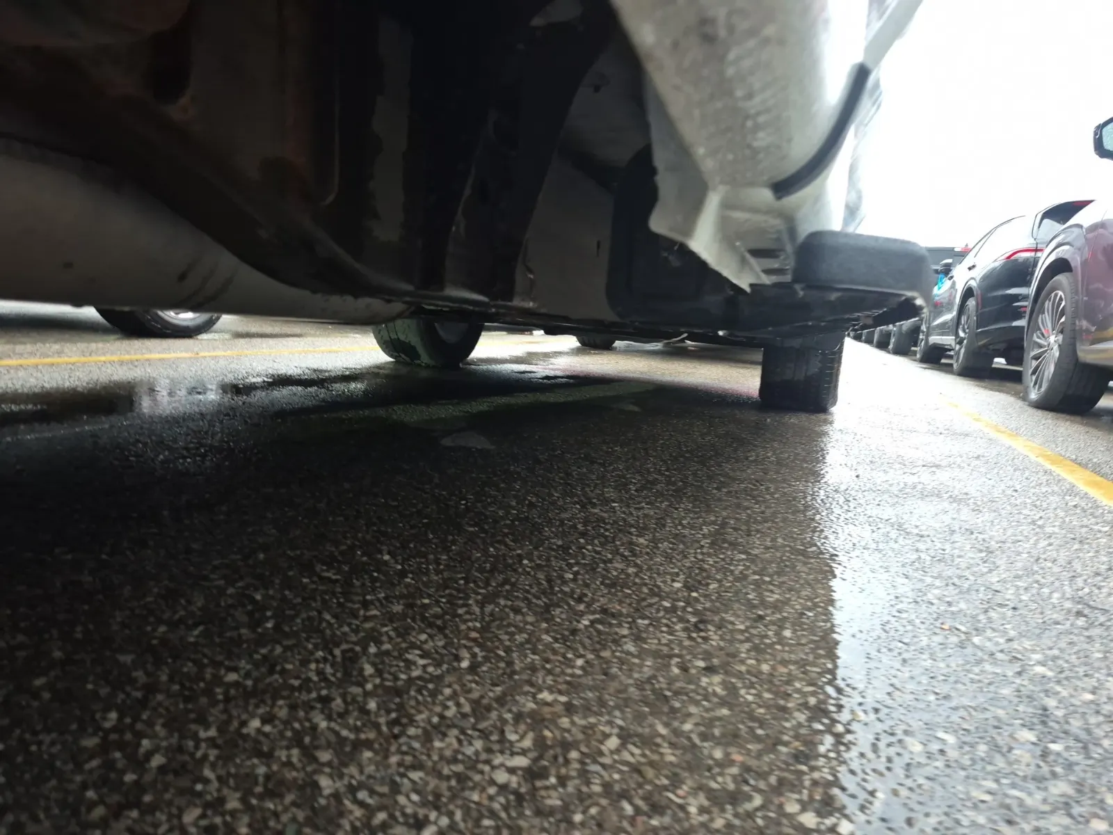 Undercarriage - Passenger Photo