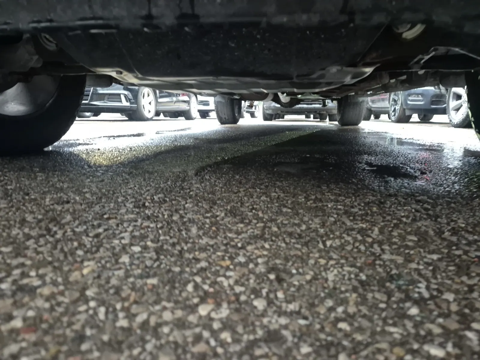 Undercarriage - Front Photo