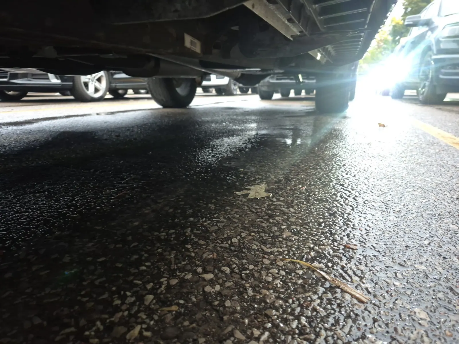Undercarriage - Driver Photo