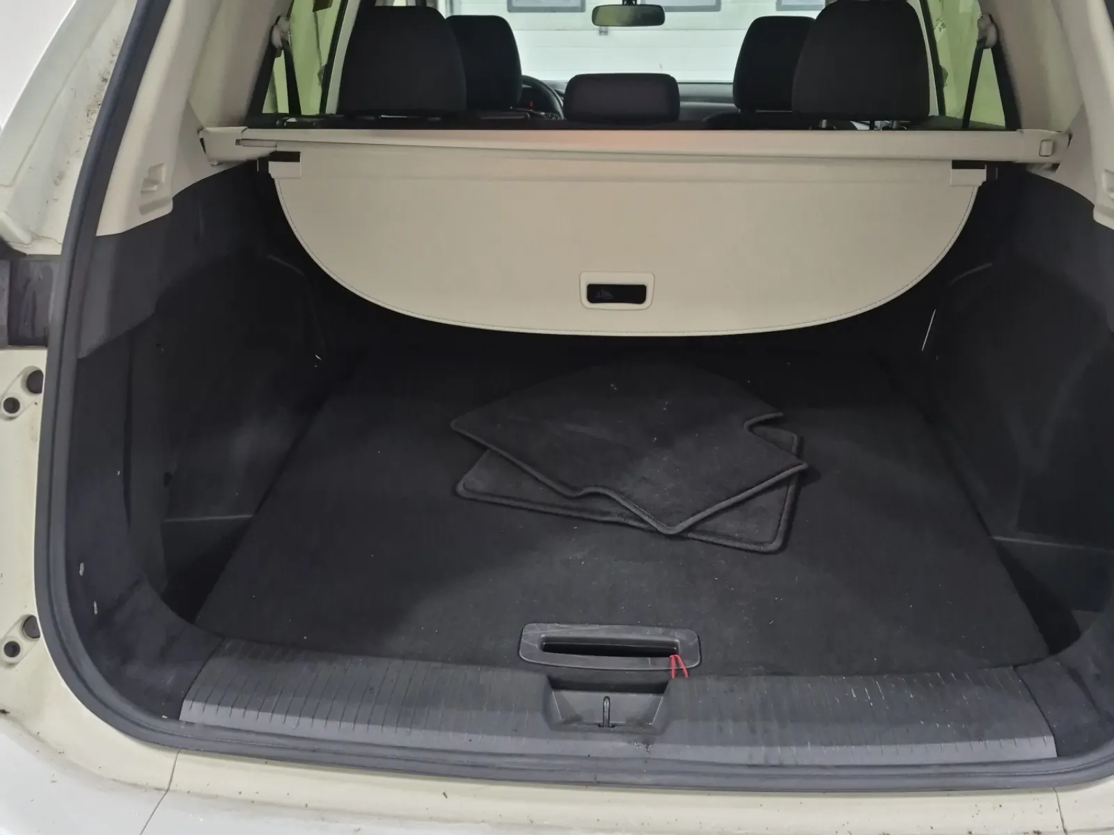 Cargo Area Photo
