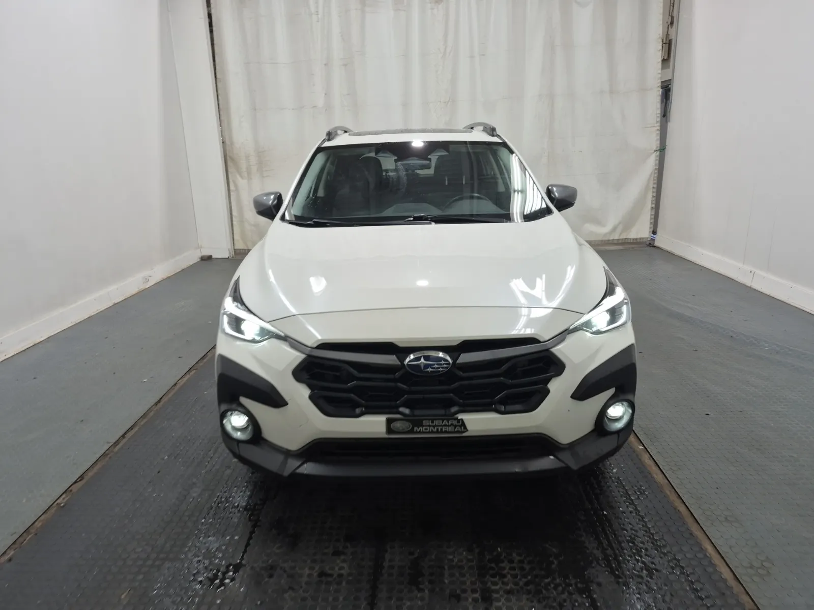 Full Front Photo