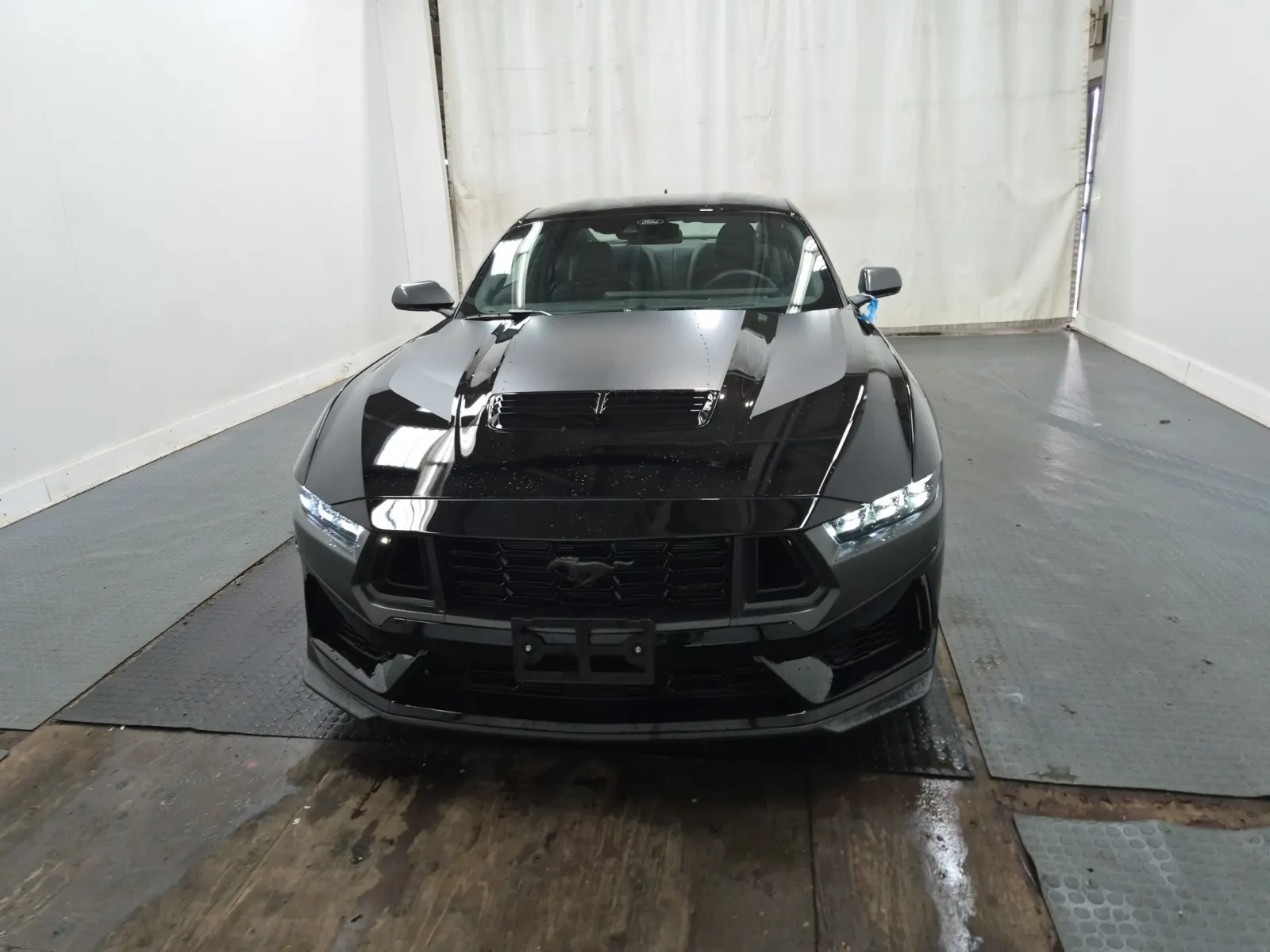 Full Front Photo