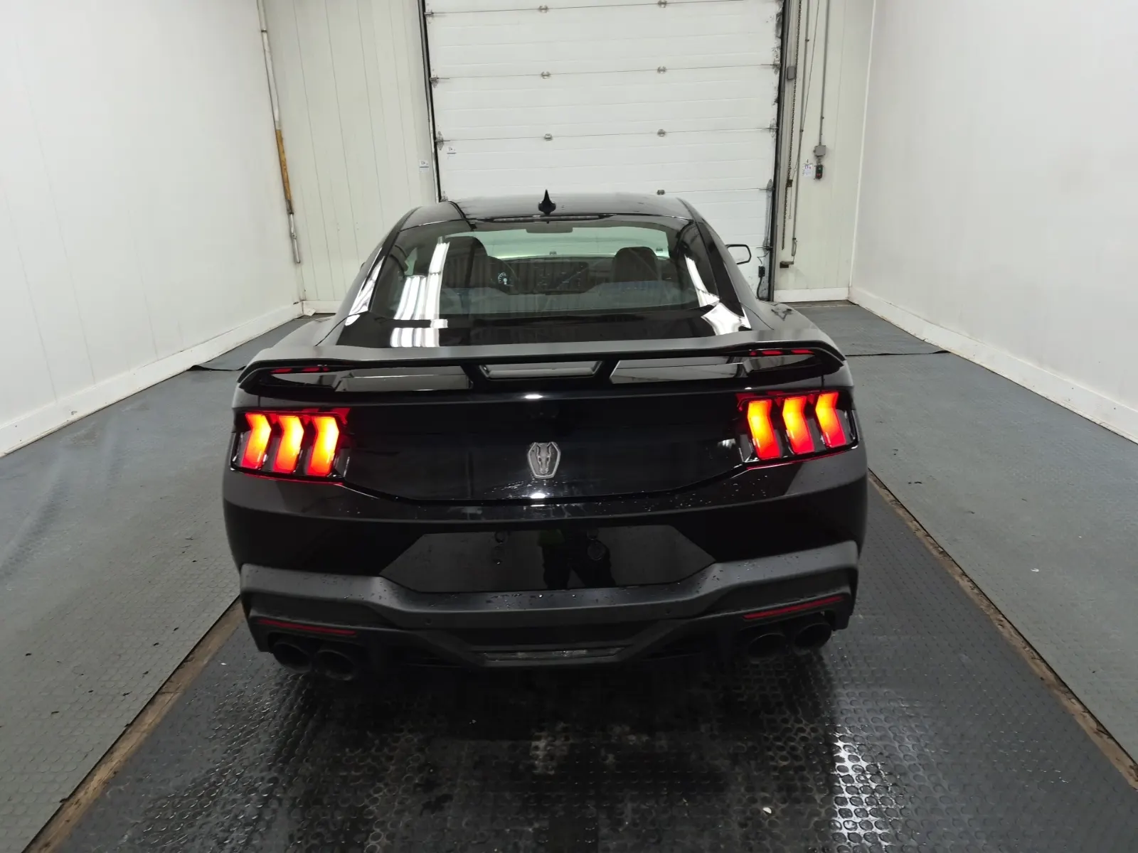 Full Rear Photo