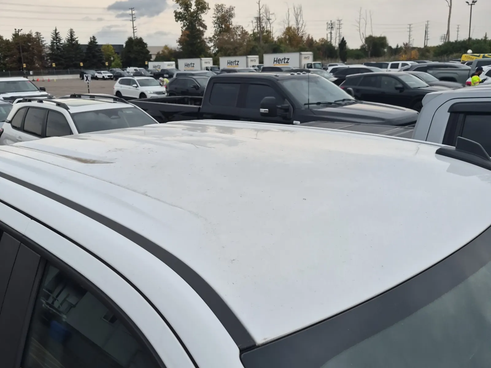 Exterior Roof Photo