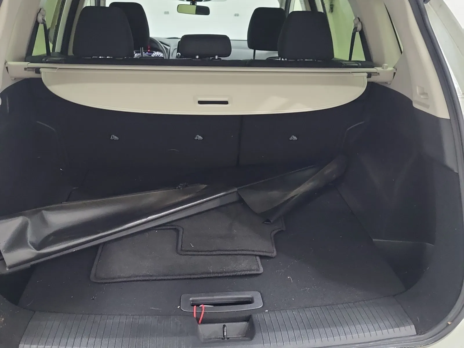 Cargo Area Photo