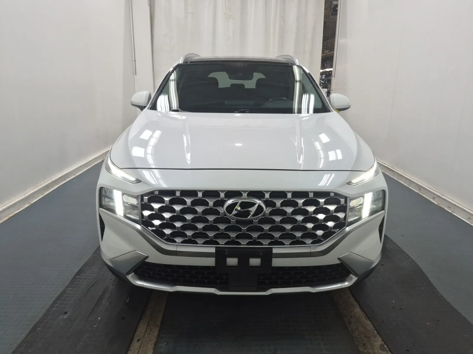 Full Front Photo