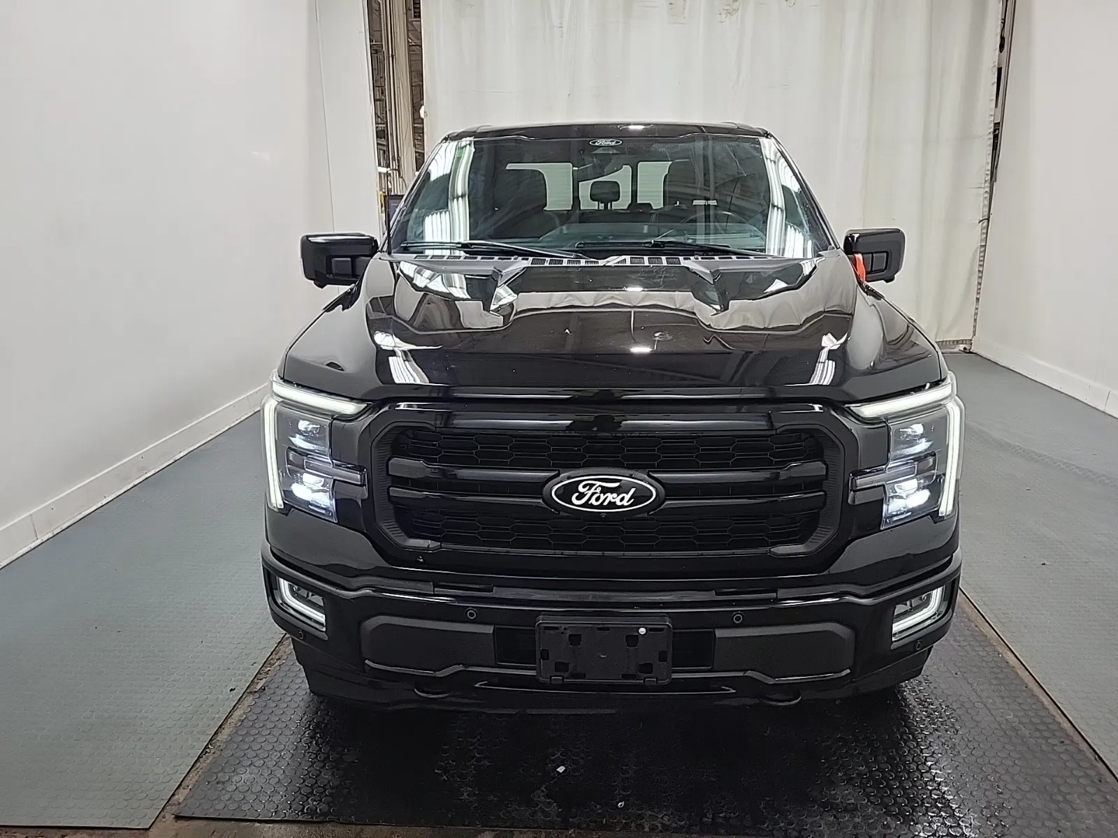 Full Front Photo