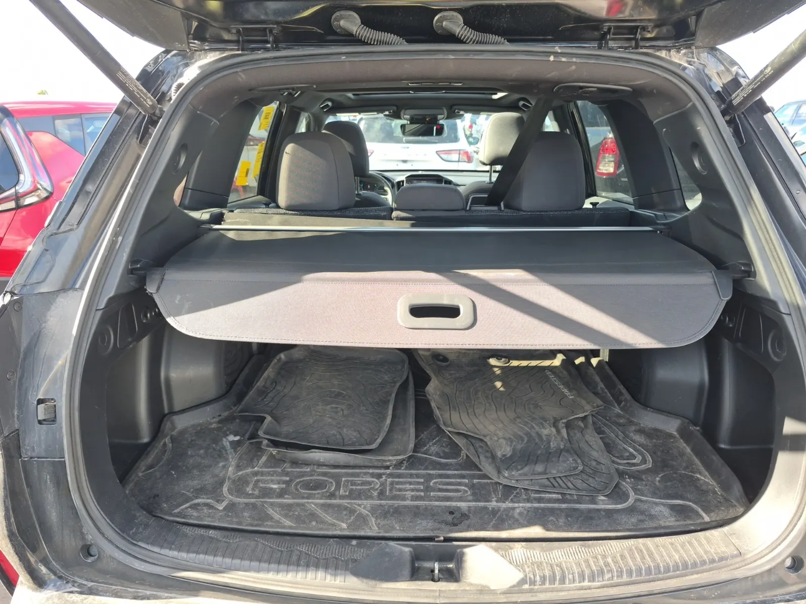 Cargo Area Photo