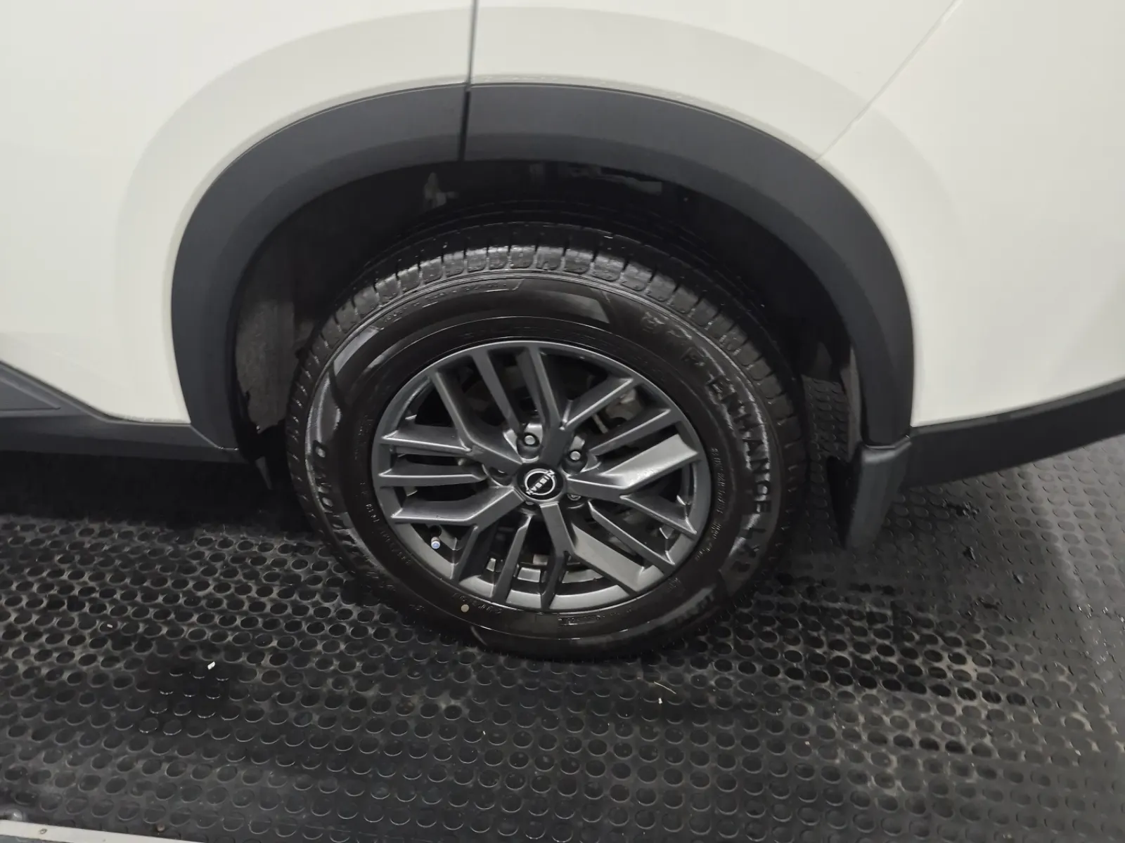 Left Rear Wheel/Tire Photo