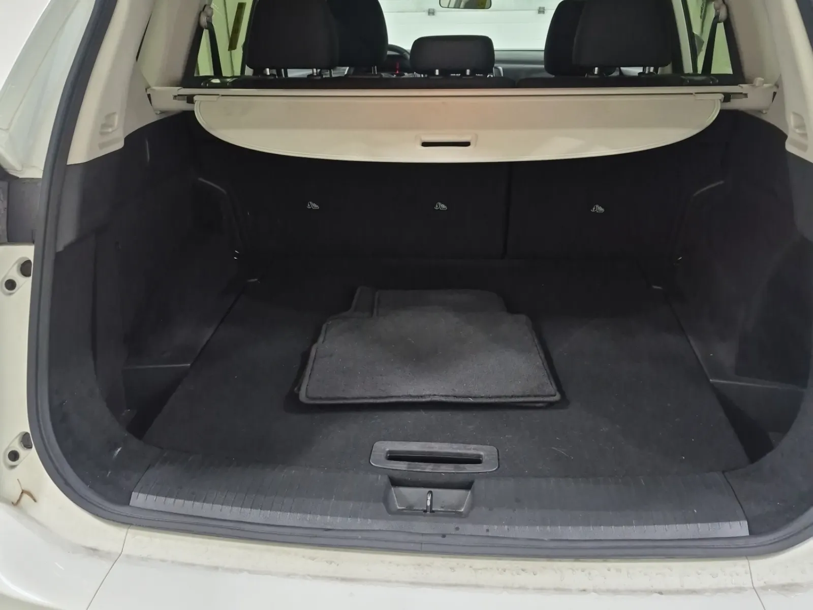 Cargo Area Photo