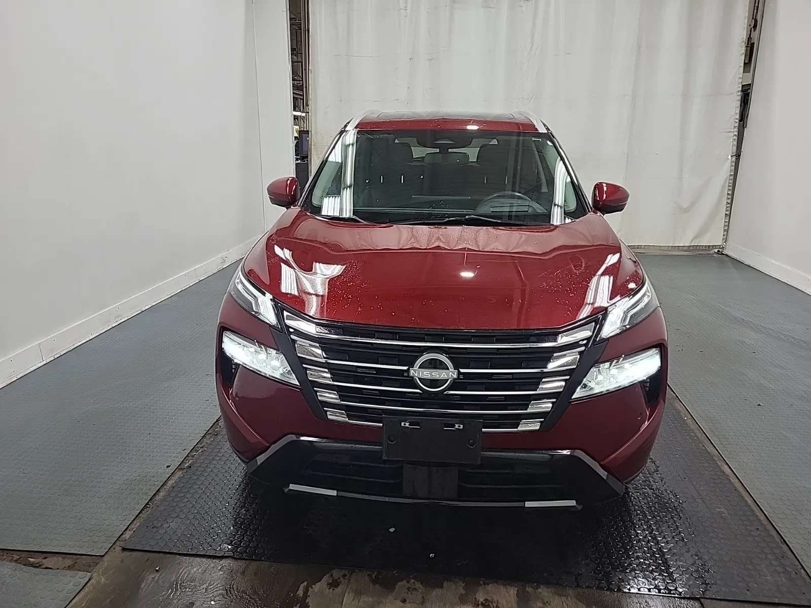 Full Front Photo