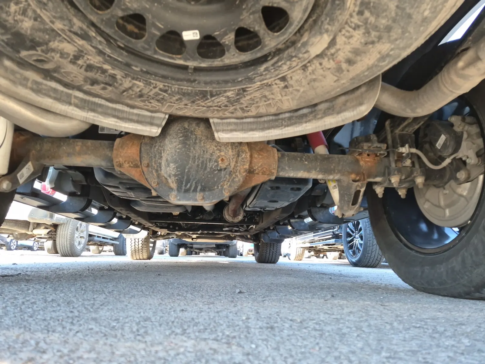 Undercarriage - Rear Photo