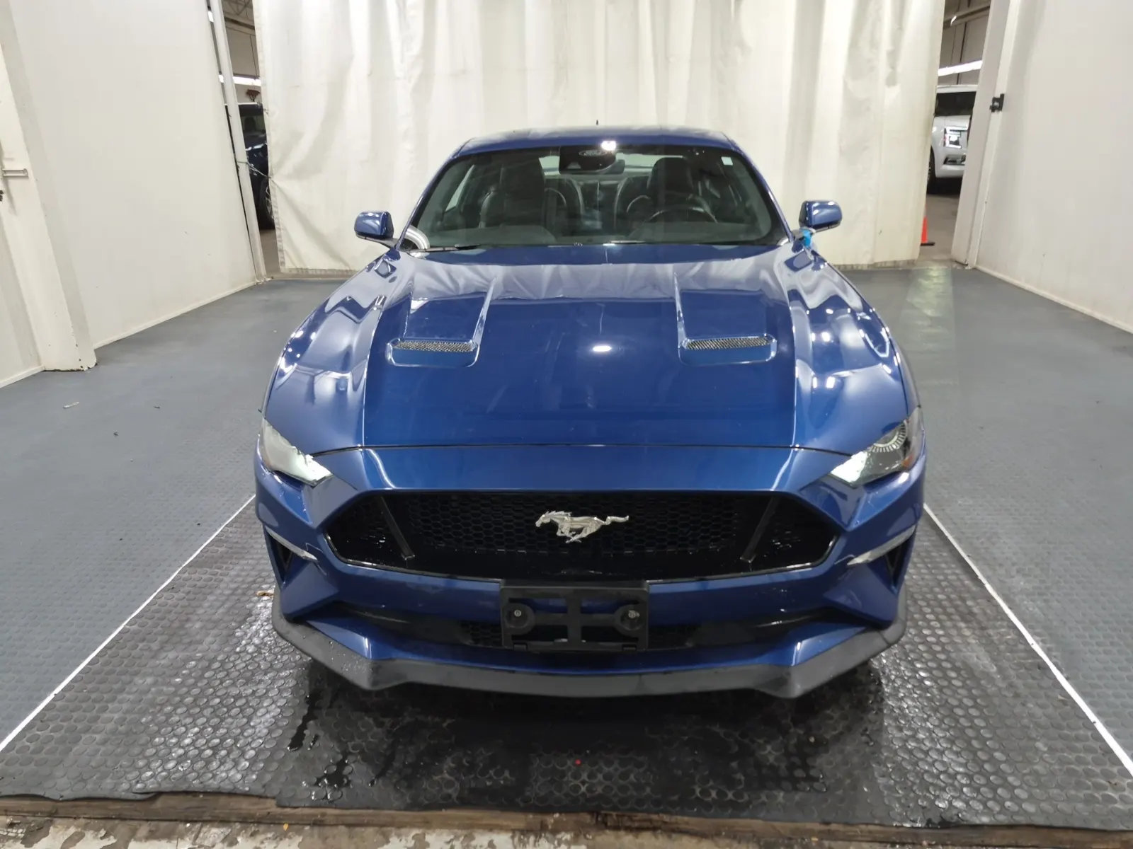 Full Front Photo