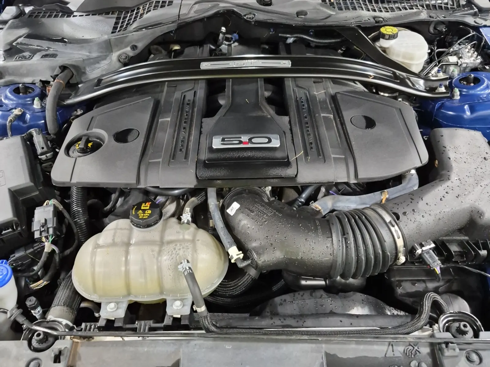Engine Photo
