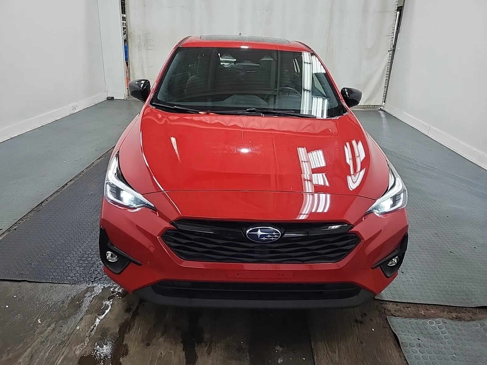 Full Front Photo