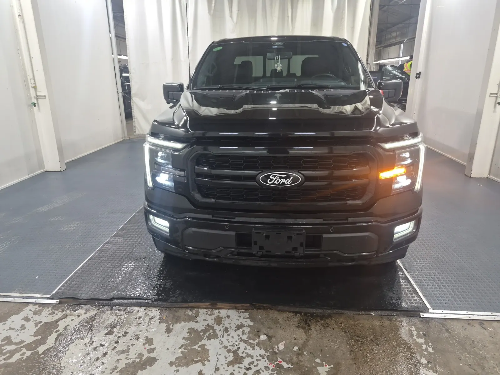 Full Front Photo