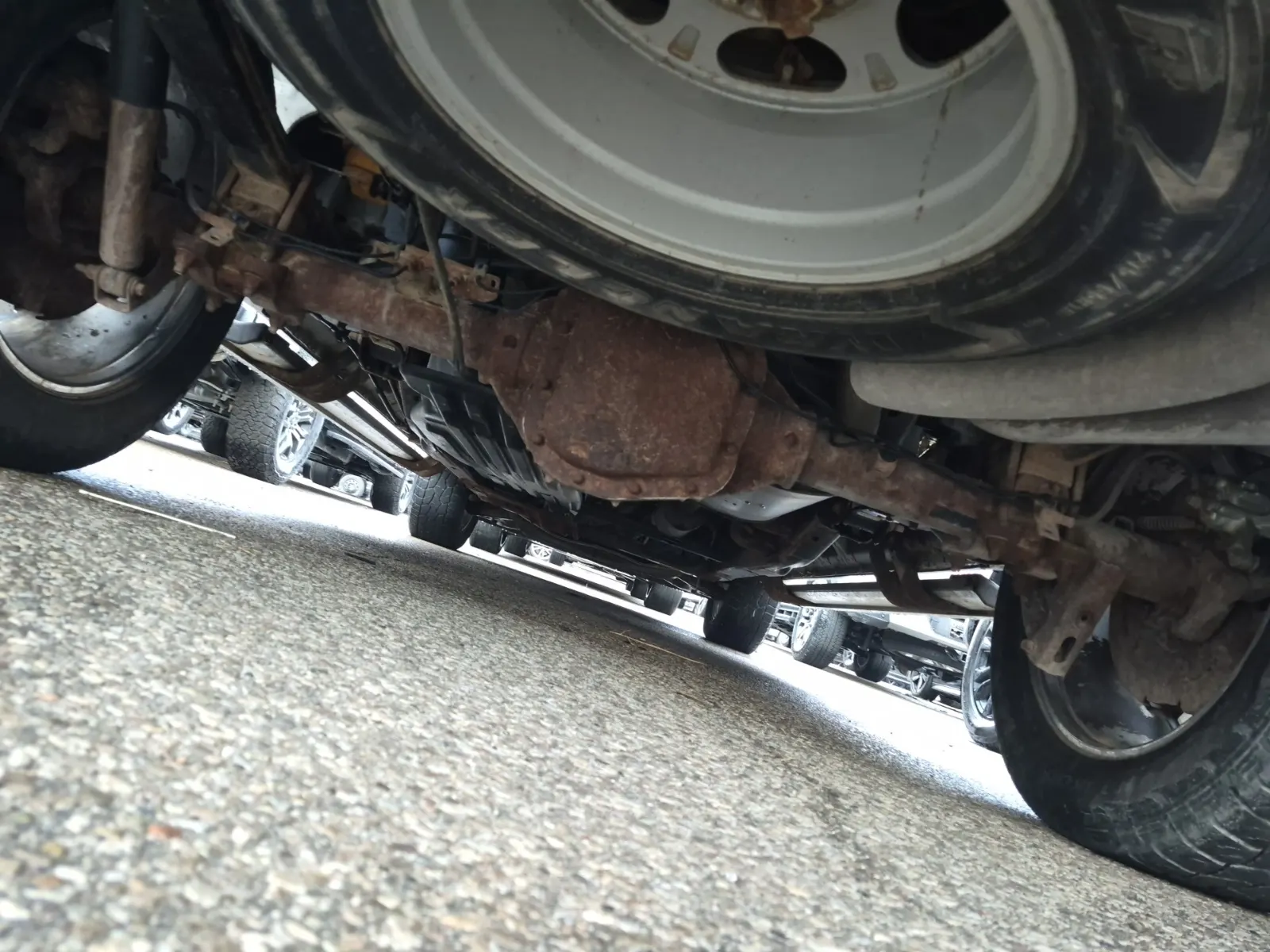 Undercarriage - Rear Photo