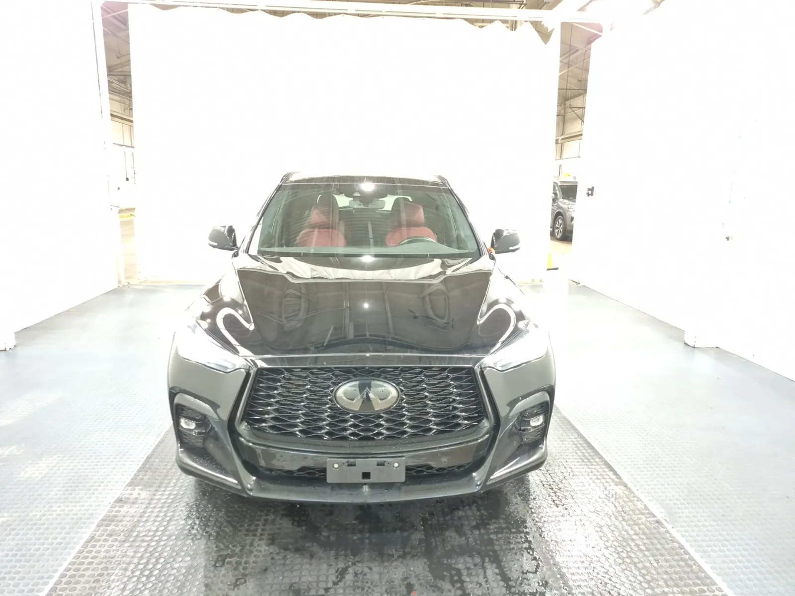Full Front Photo