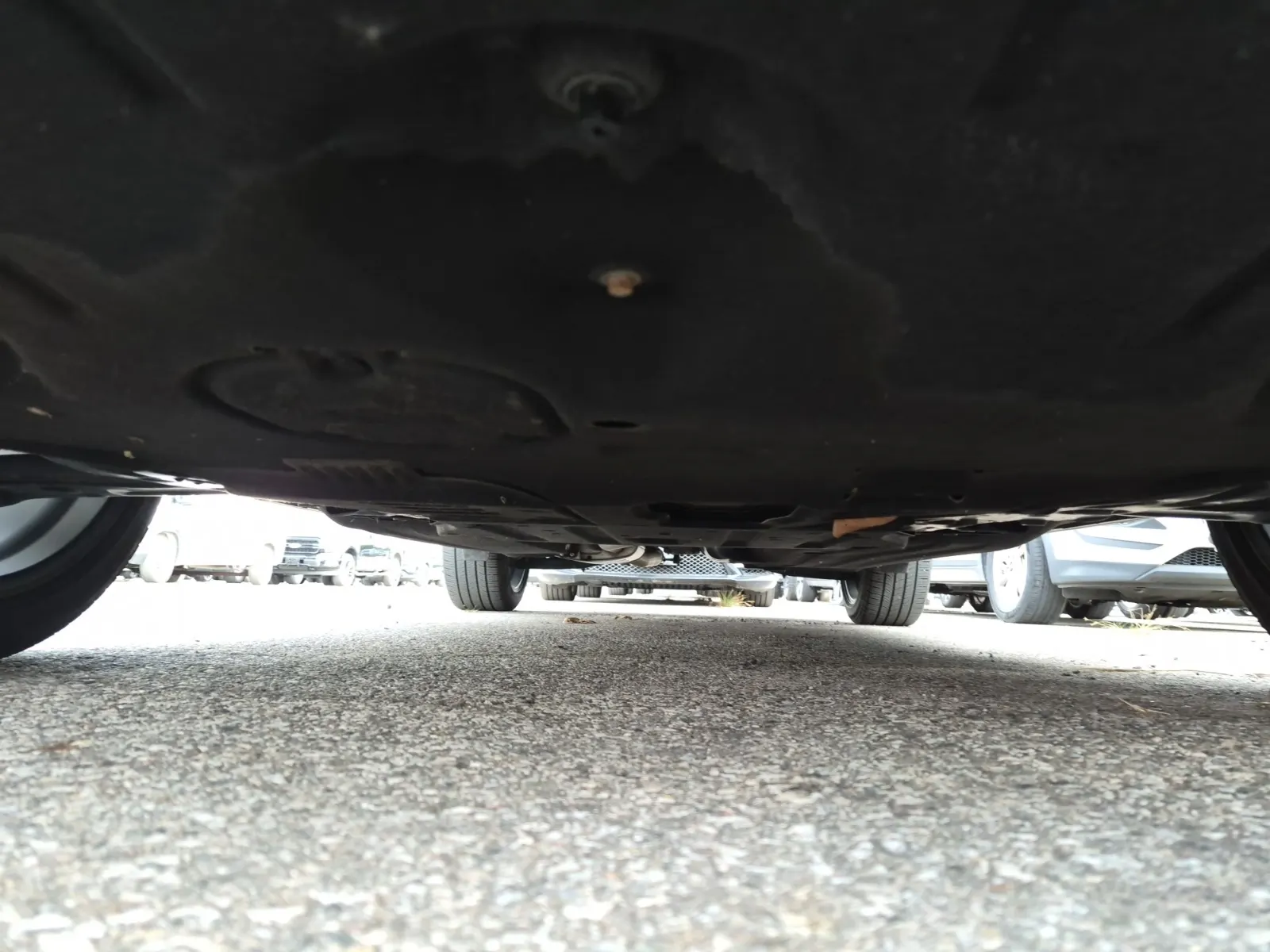 Undercarriage - Front Photo
