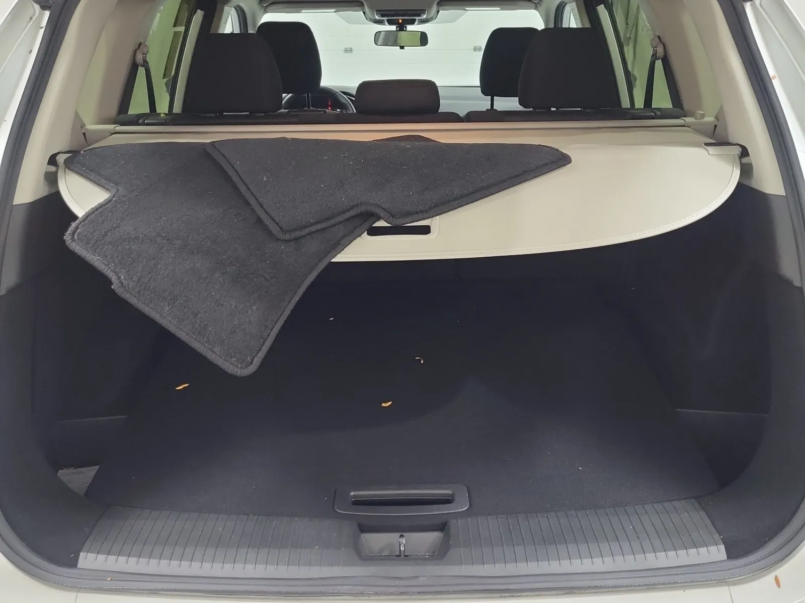 Cargo Area Photo