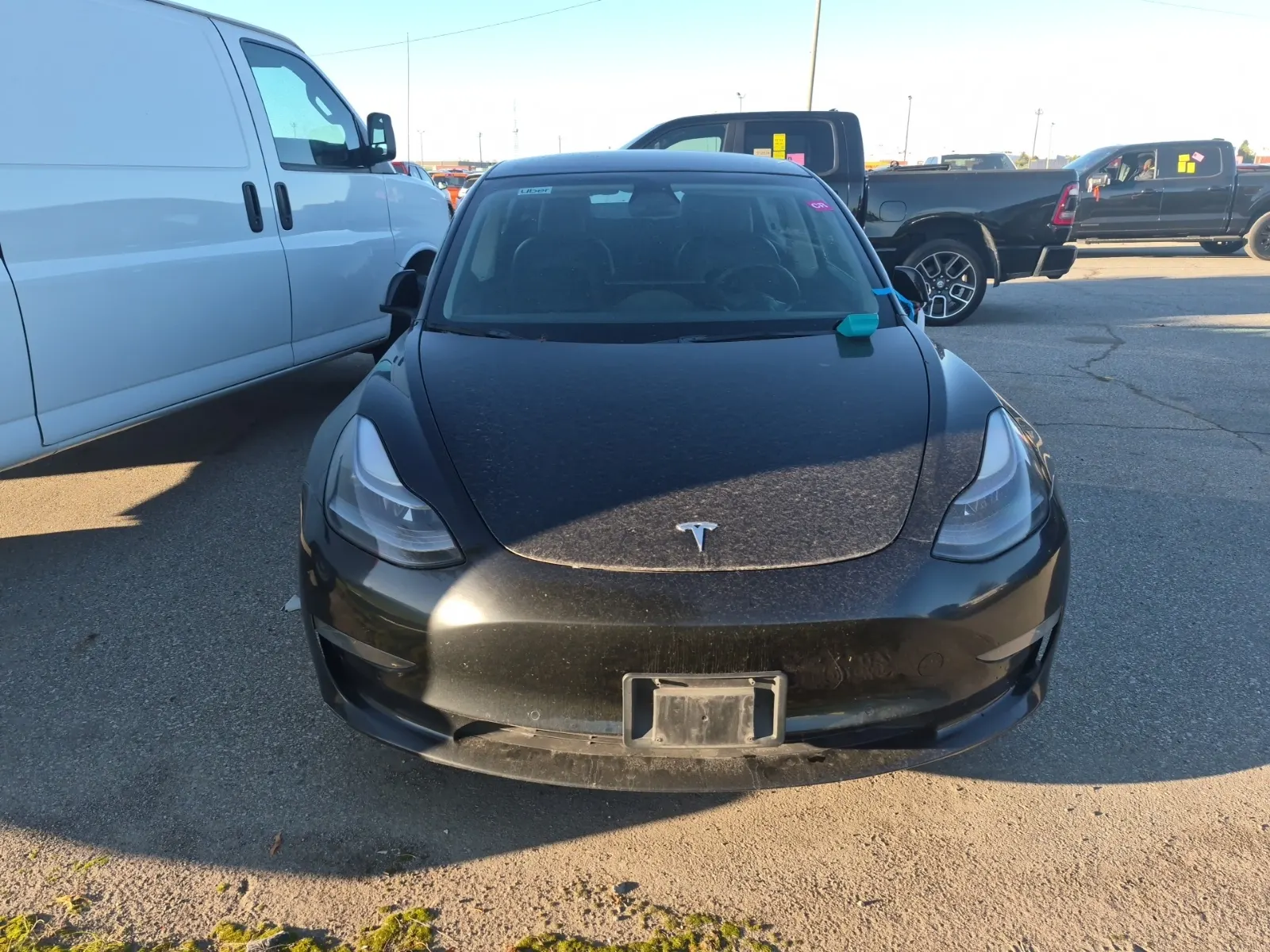Full Front Photo