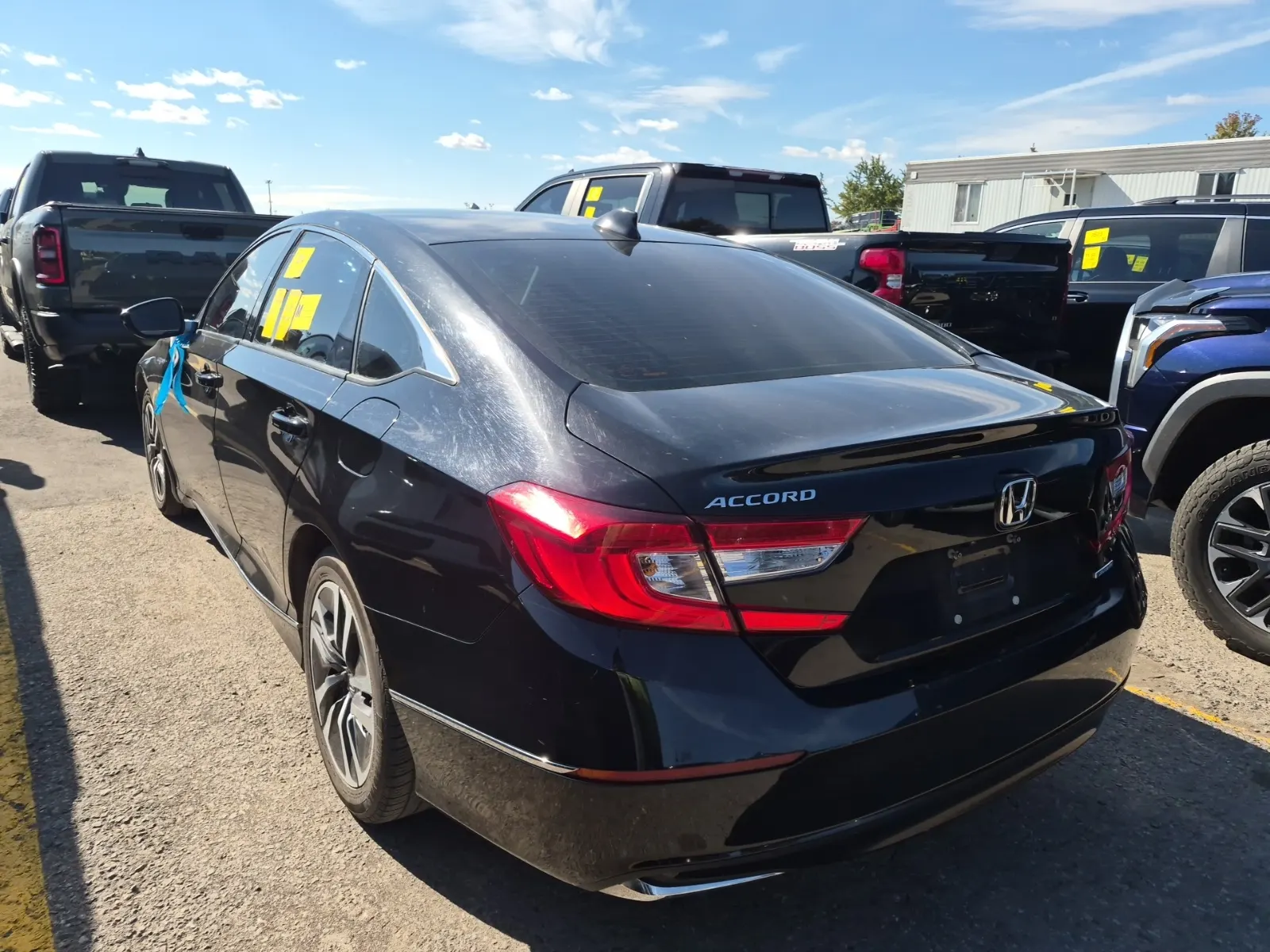 Driver Rear 3/4 Photo
