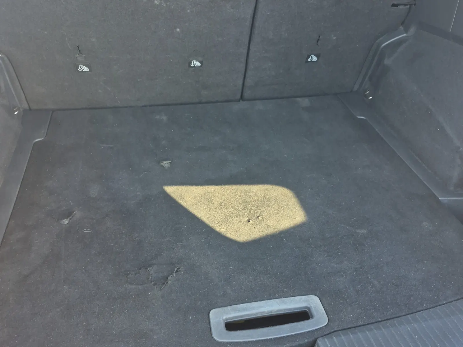 Cargo Area Photo