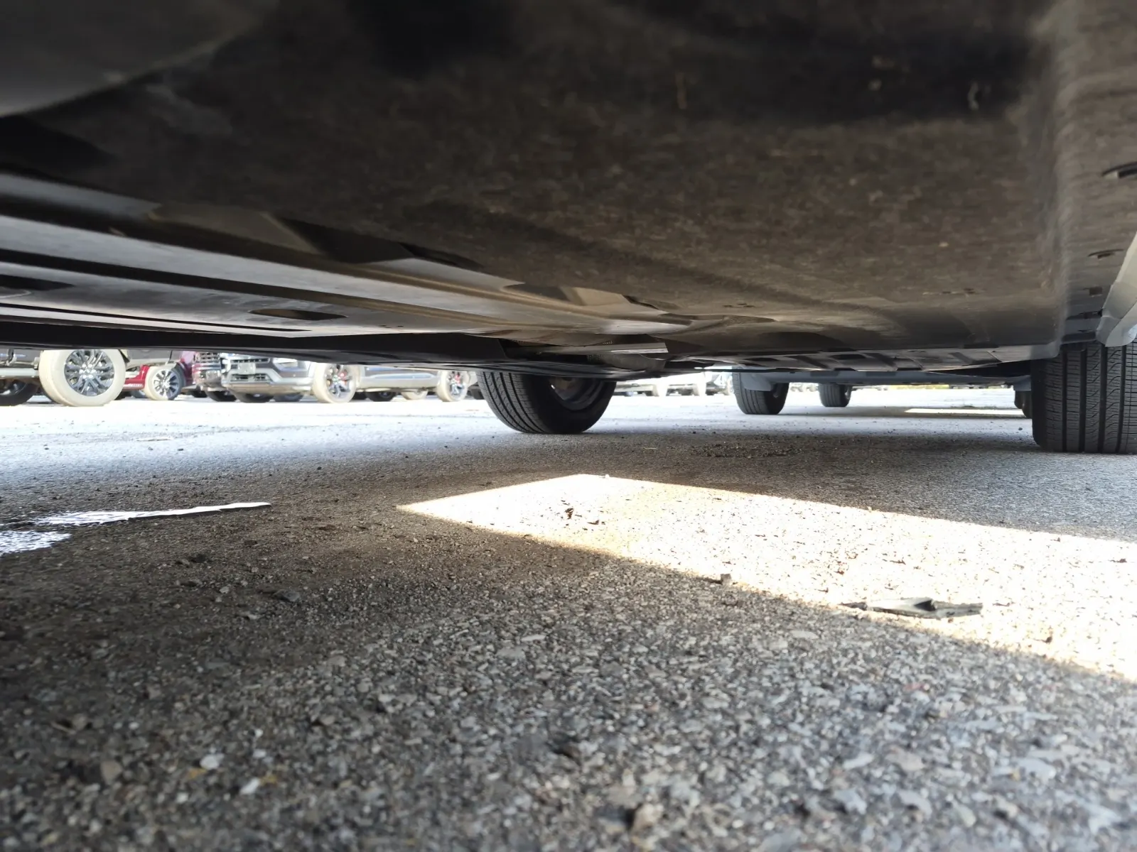 Undercarriage - Driver Photo