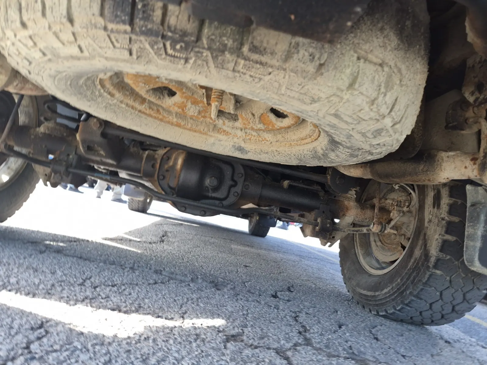 Undercarriage - Rear Photo