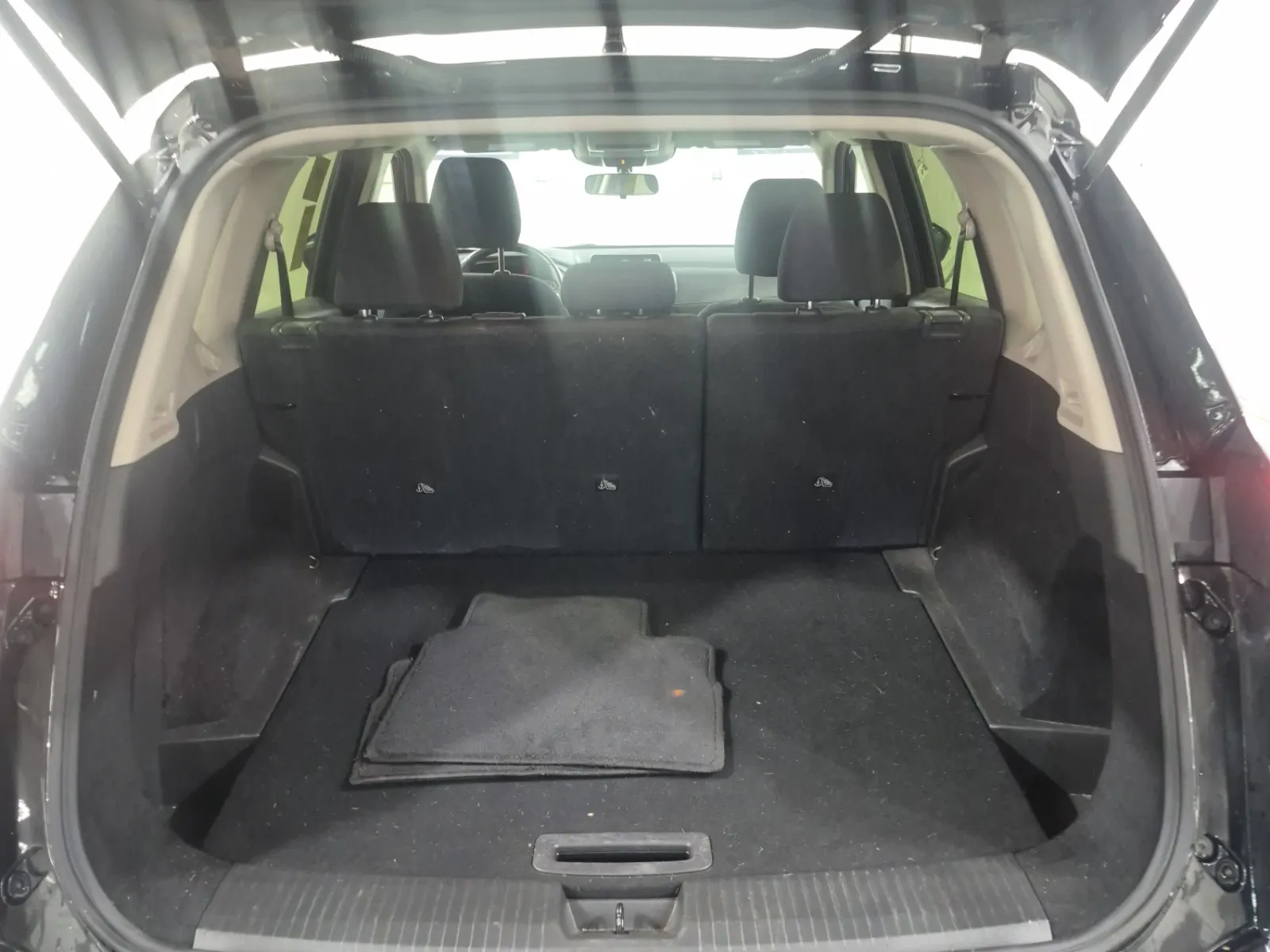 Cargo Area Photo
