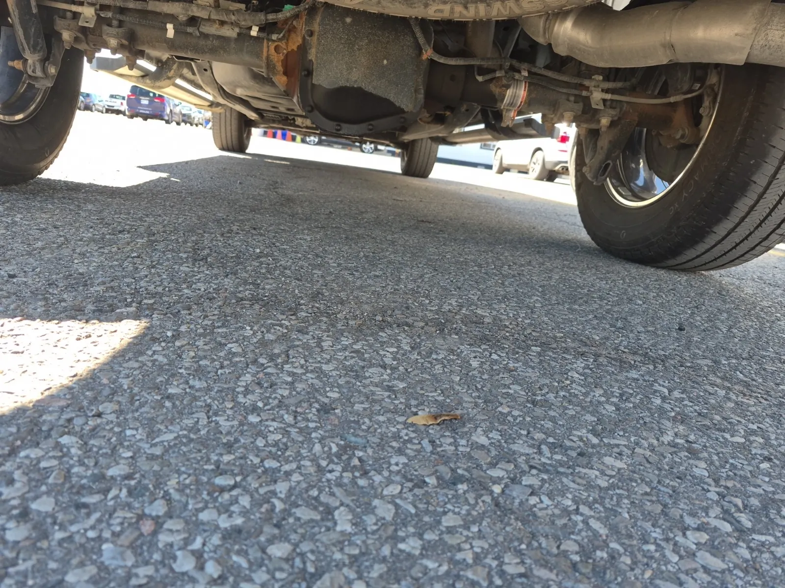 Undercarriage - Rear Photo
