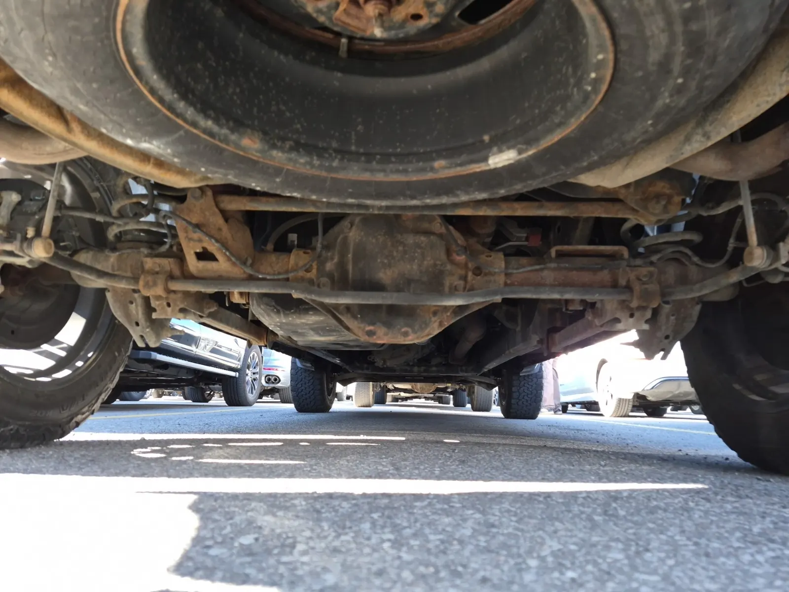 Undercarriage - Rear Photo
