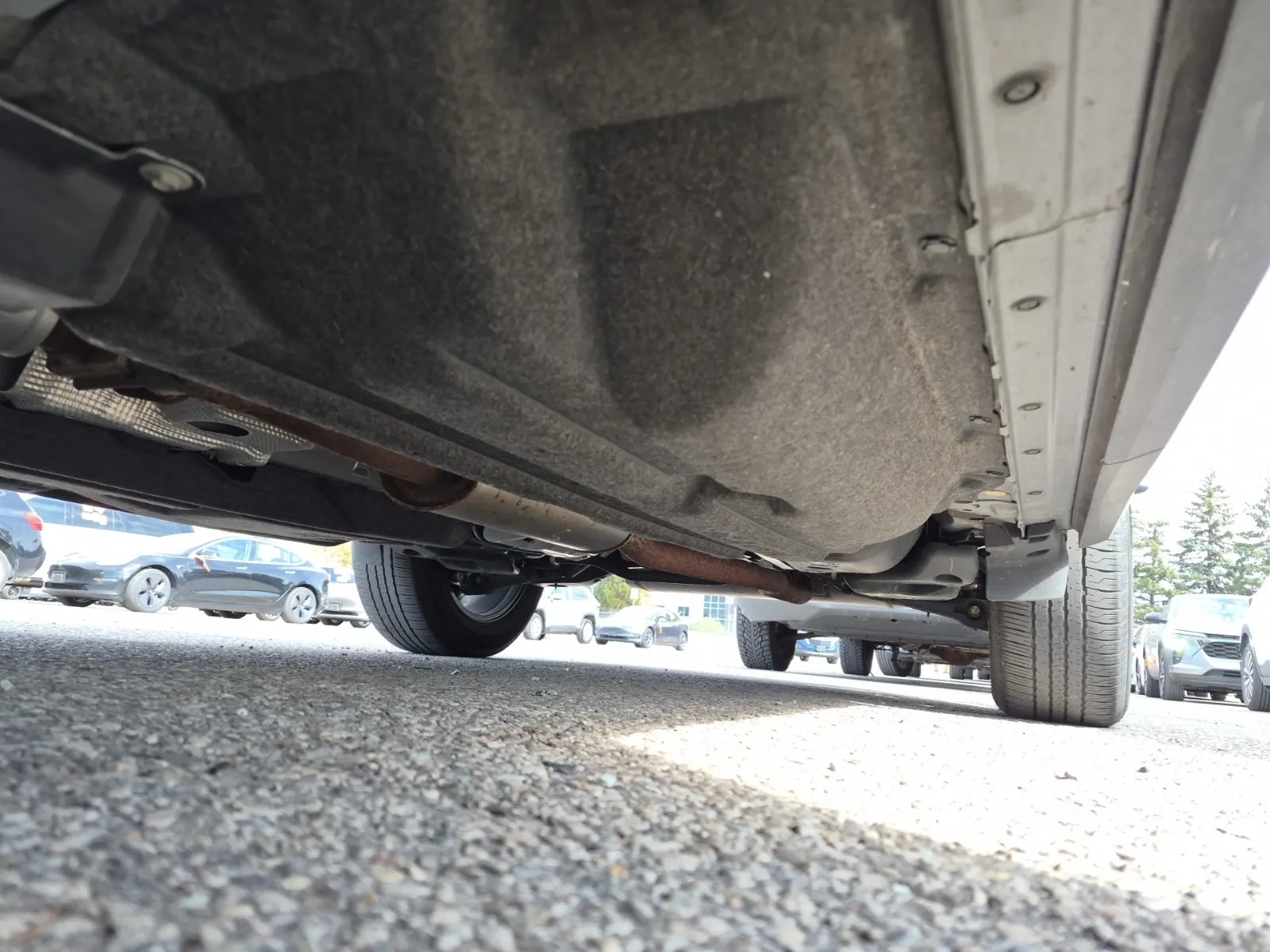 Undercarriage - Driver Photo