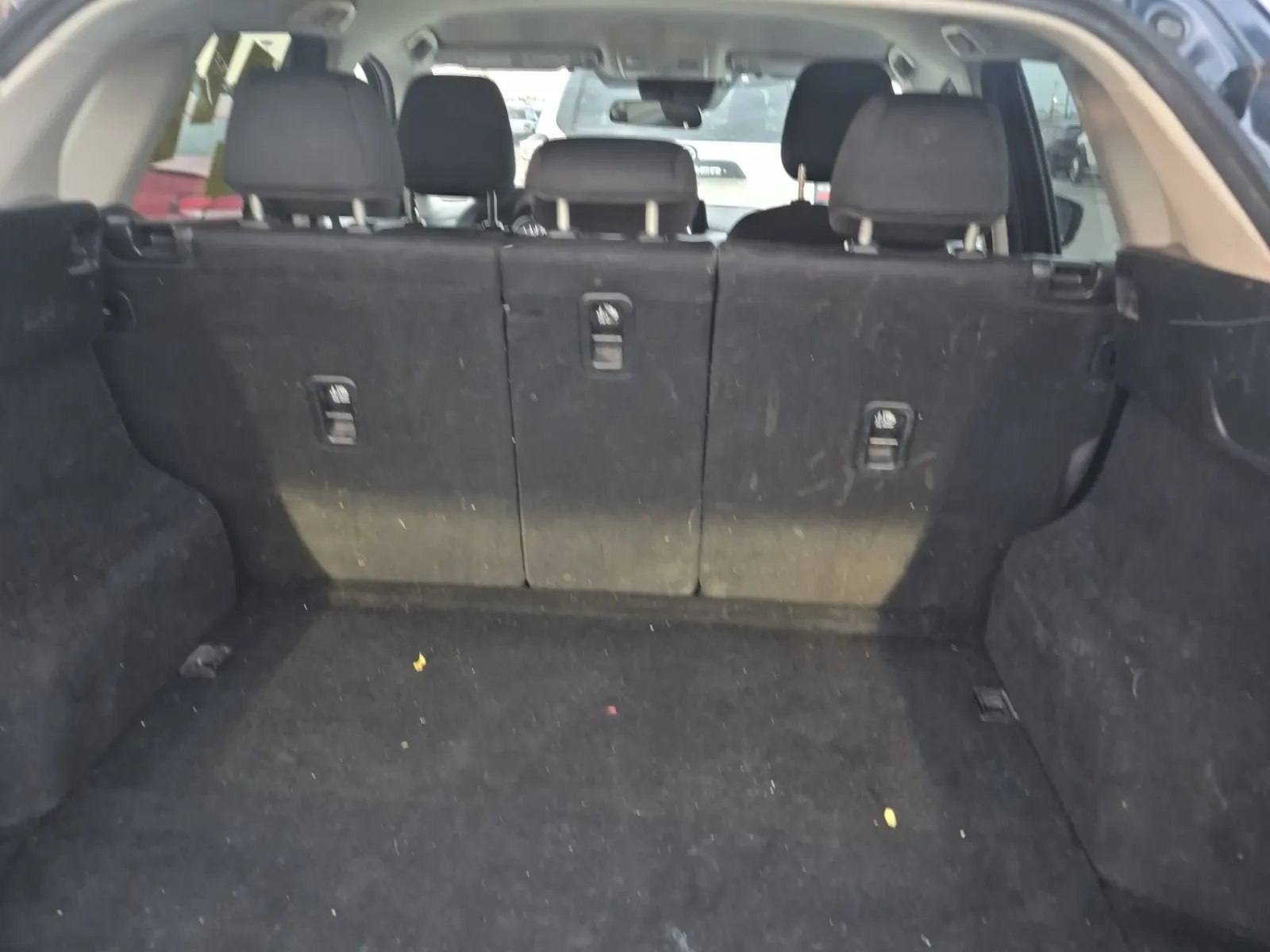 Cargo Area Photo