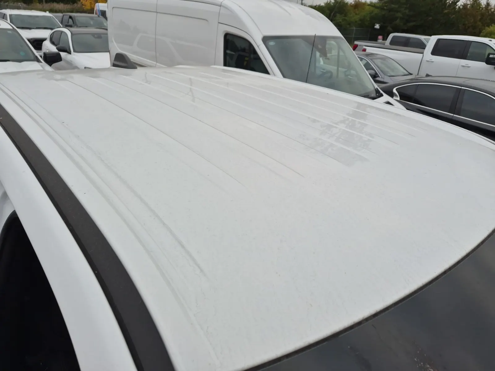 Exterior Roof Photo