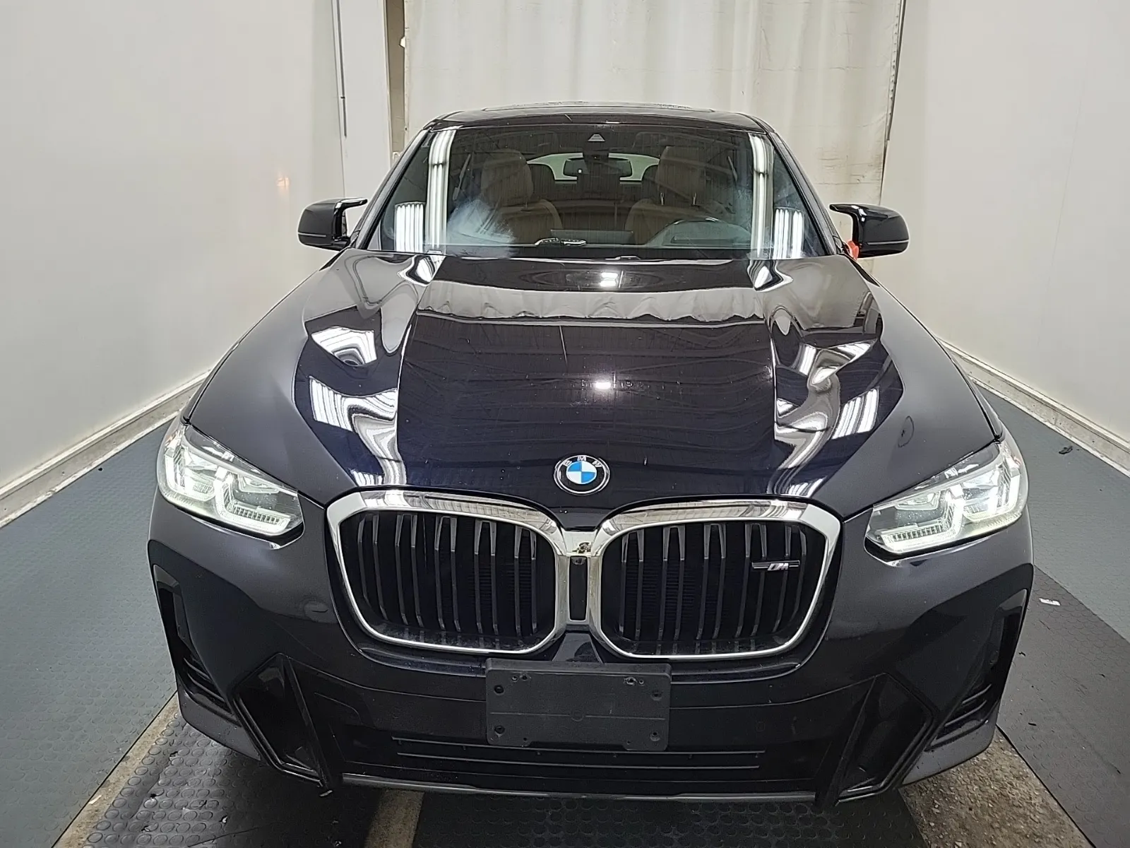 Full Front Photo