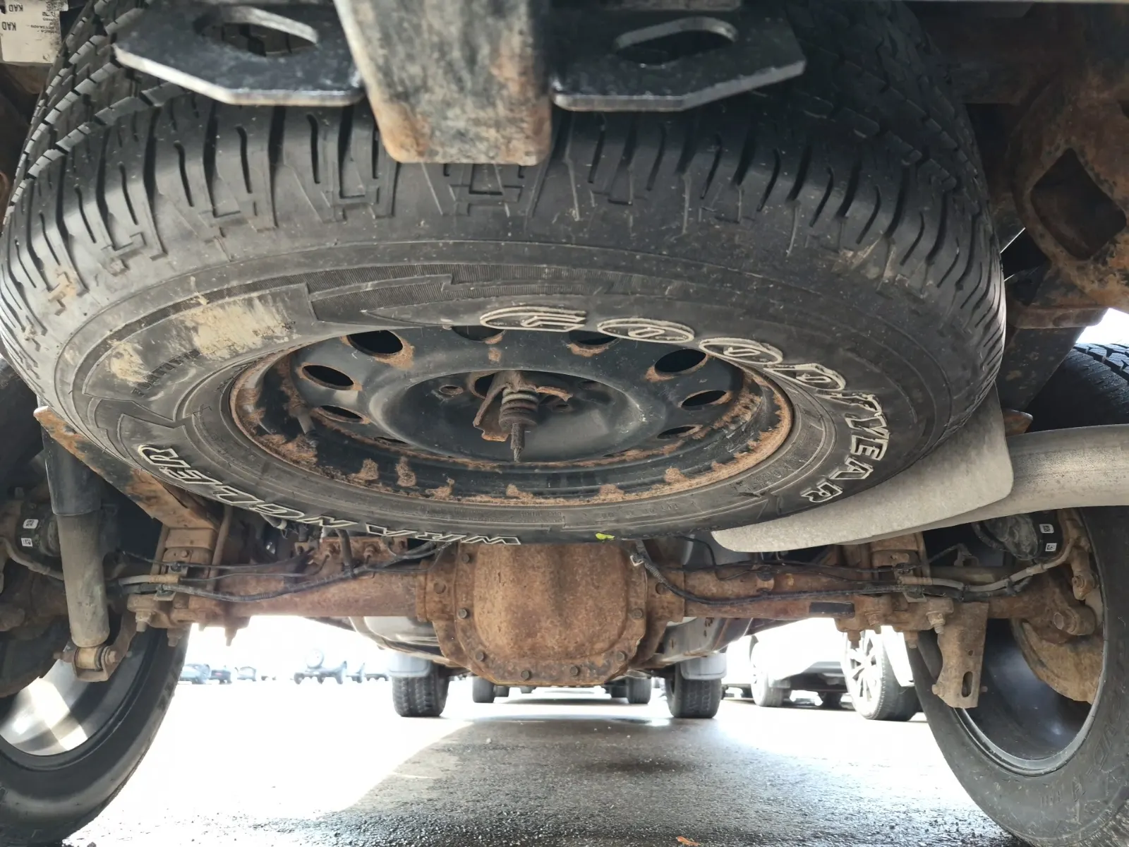 Spare Tire & Wheel Photo